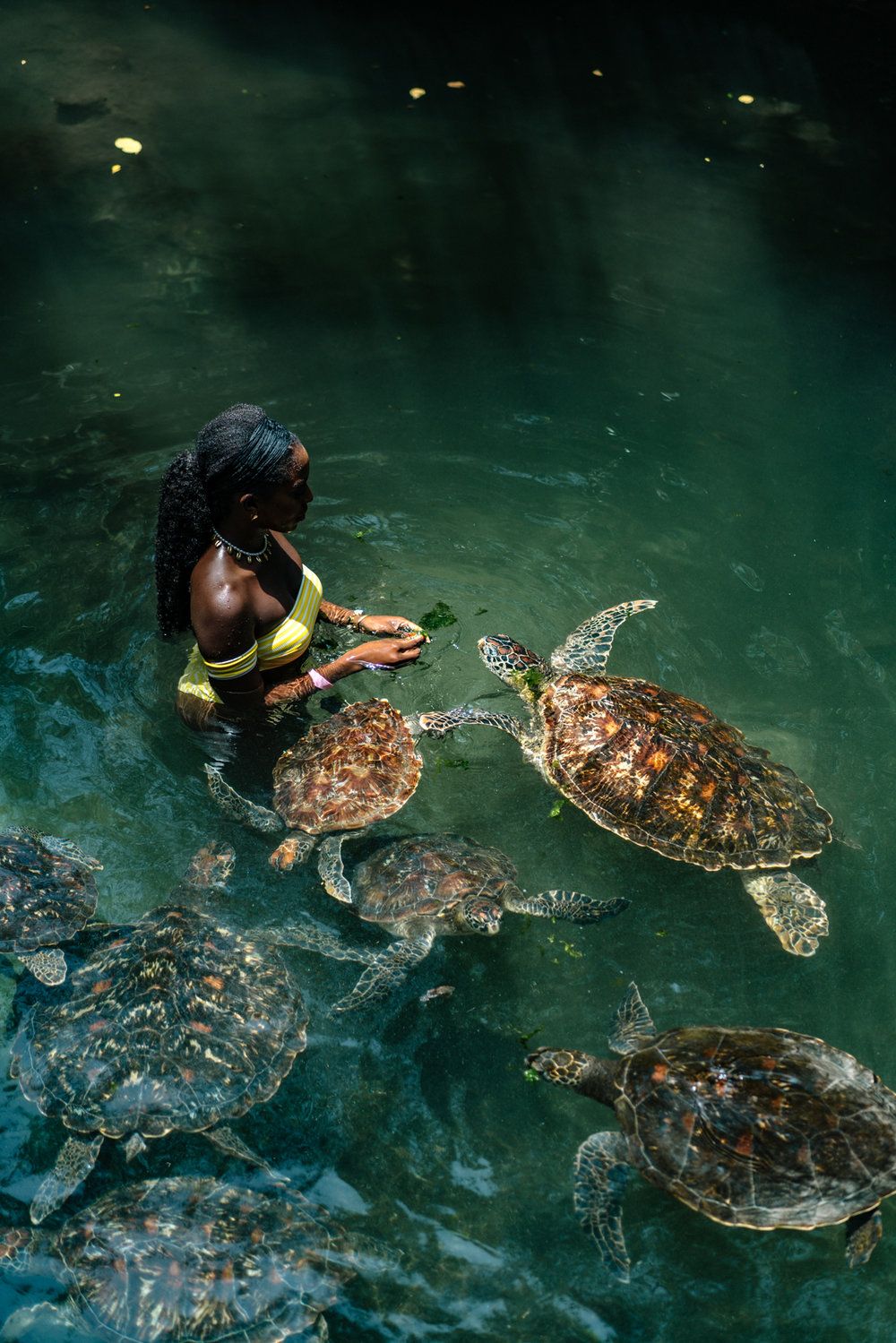 PARADISE FOUND: 30+ PHOTOS TO INSPIRE YOUR NEXT TRIP TO ZANZIBAR — Spirited Pursuit