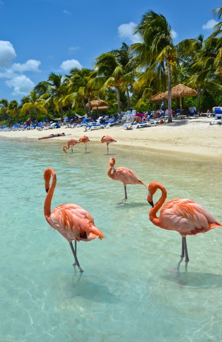 Why the Caribbean’s ABC Islands are the Perfect Summer Escape