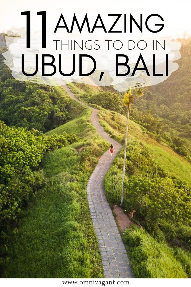 16 Amazing Things To Do in Ubud