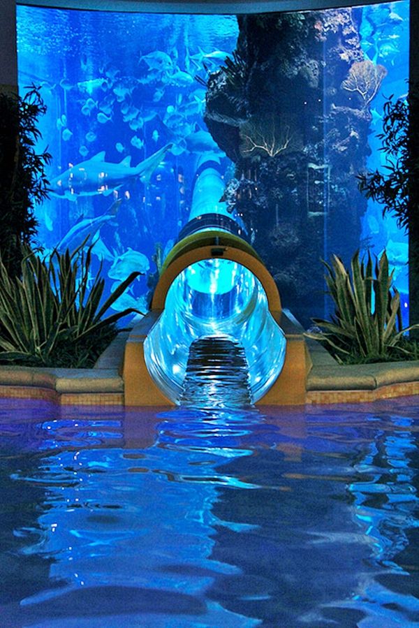 7 Incredible Water Slides To Put On Your Bucket List